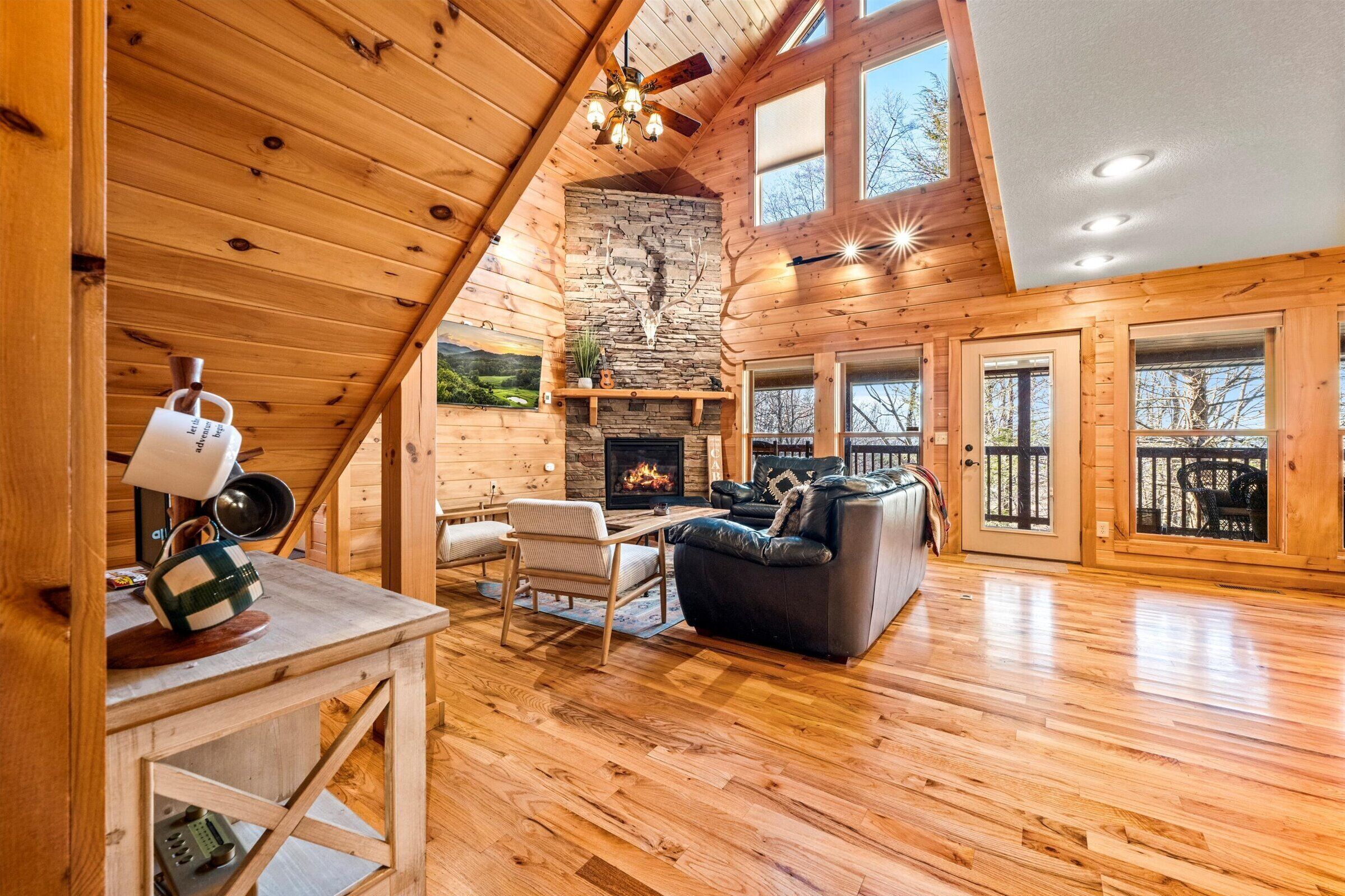 Smart TV, fireplace, video games, books