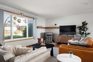 Smart TV, fireplace, books