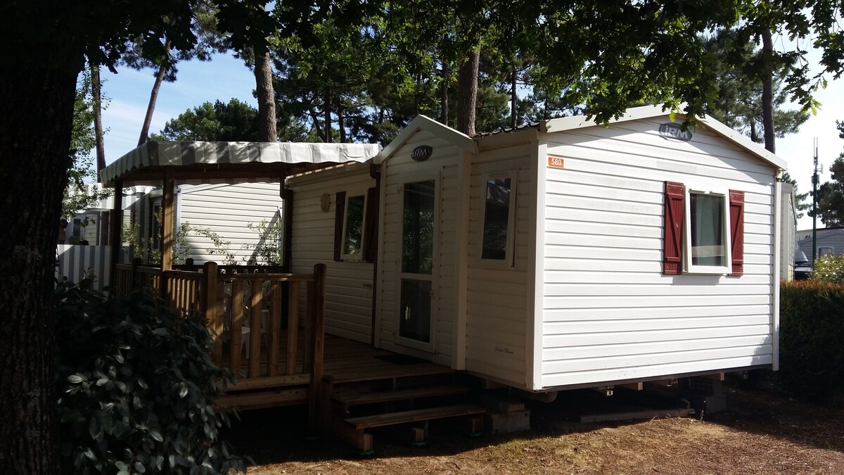 Imagen de perfil del propietario o de la propietaria