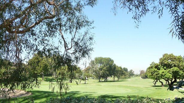 Un campo de golf con abundante vegetación y árboles.