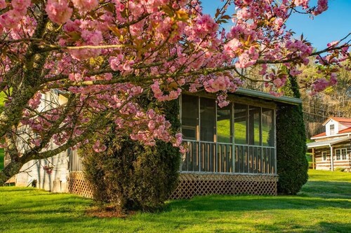 Midge: cozy studio cabin, firepit, perfect for anglers w/wading river access 