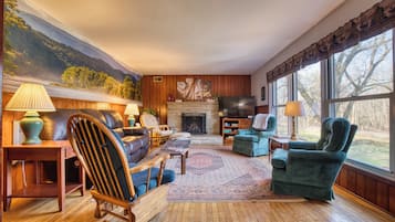 TV connectée, cheminée, lecteur de DVD, livres