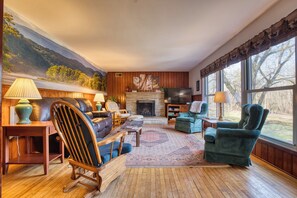 TV connectée, cheminée, lecteur de DVD, livres