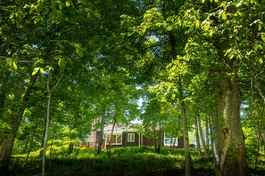 Overnattingsstedets uteområder