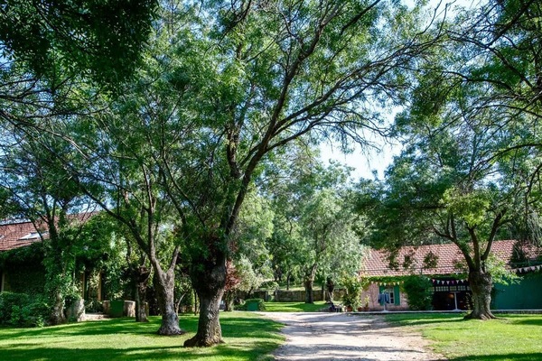 Alojamiento Completo
Casa+Studio