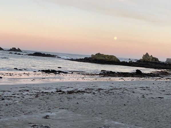 Tæt på stranden