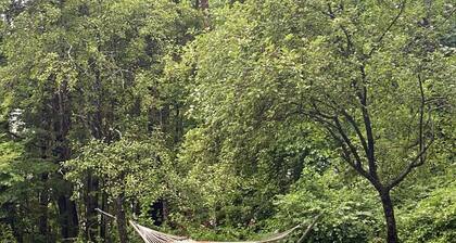 Melvin Village - 5 Bed/3 Bath - Lake Winnipesaukee