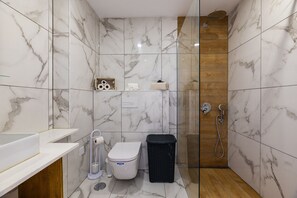 Shower, hair dryer, soap, shampoo