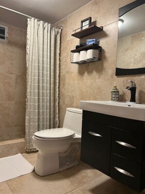 Shower, hair dryer, bidet, towels
