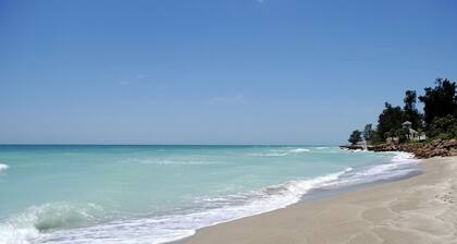 Sunny Oasis: Bright, Private and Beautiful Retreat!
Magnolia Rentals