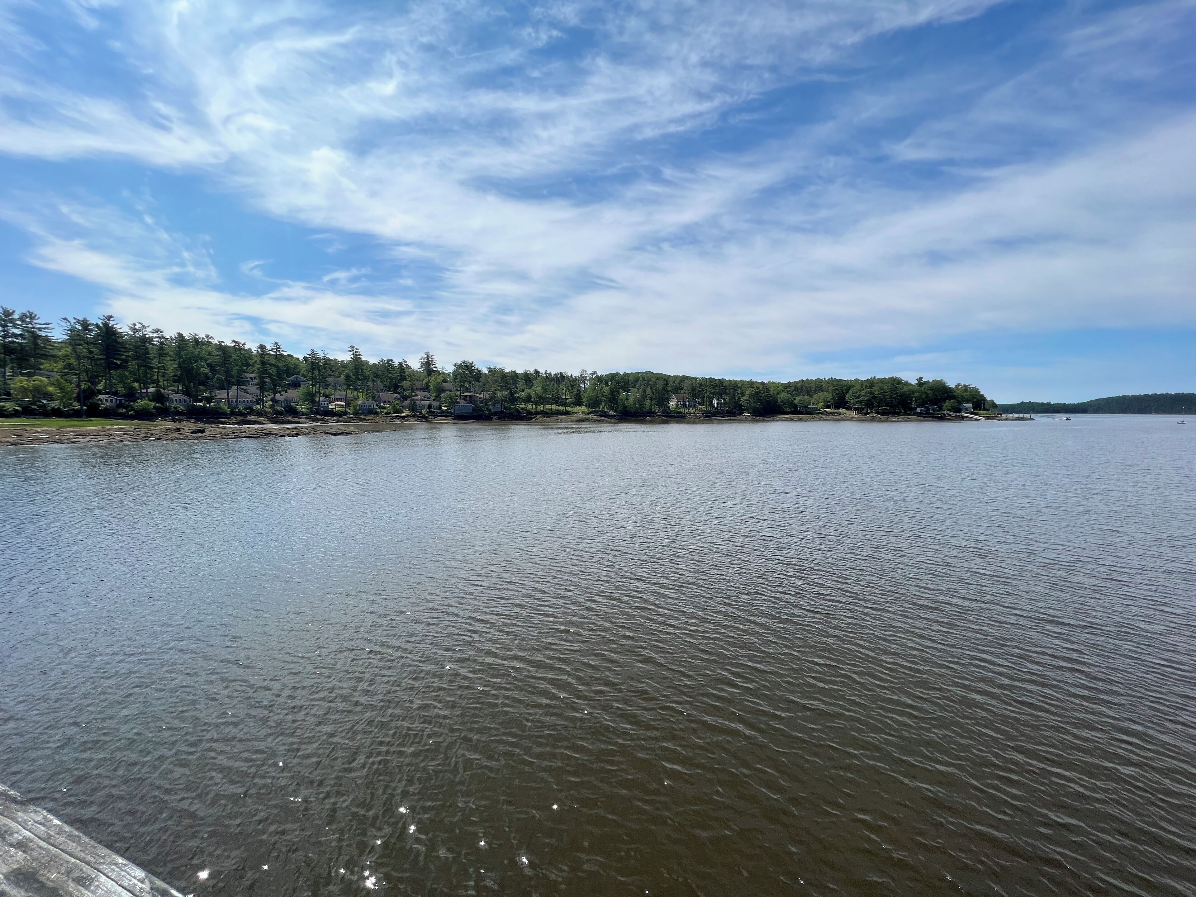 Ein ruhiger See mit bewaldeter Uferlinie und blauem Himmel.