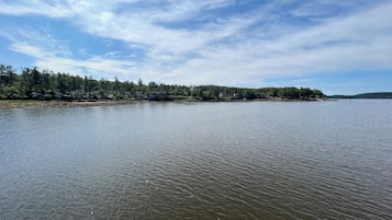 Ein ruhiger See mit bewaldeter Uferlinie und blauem Himmel.