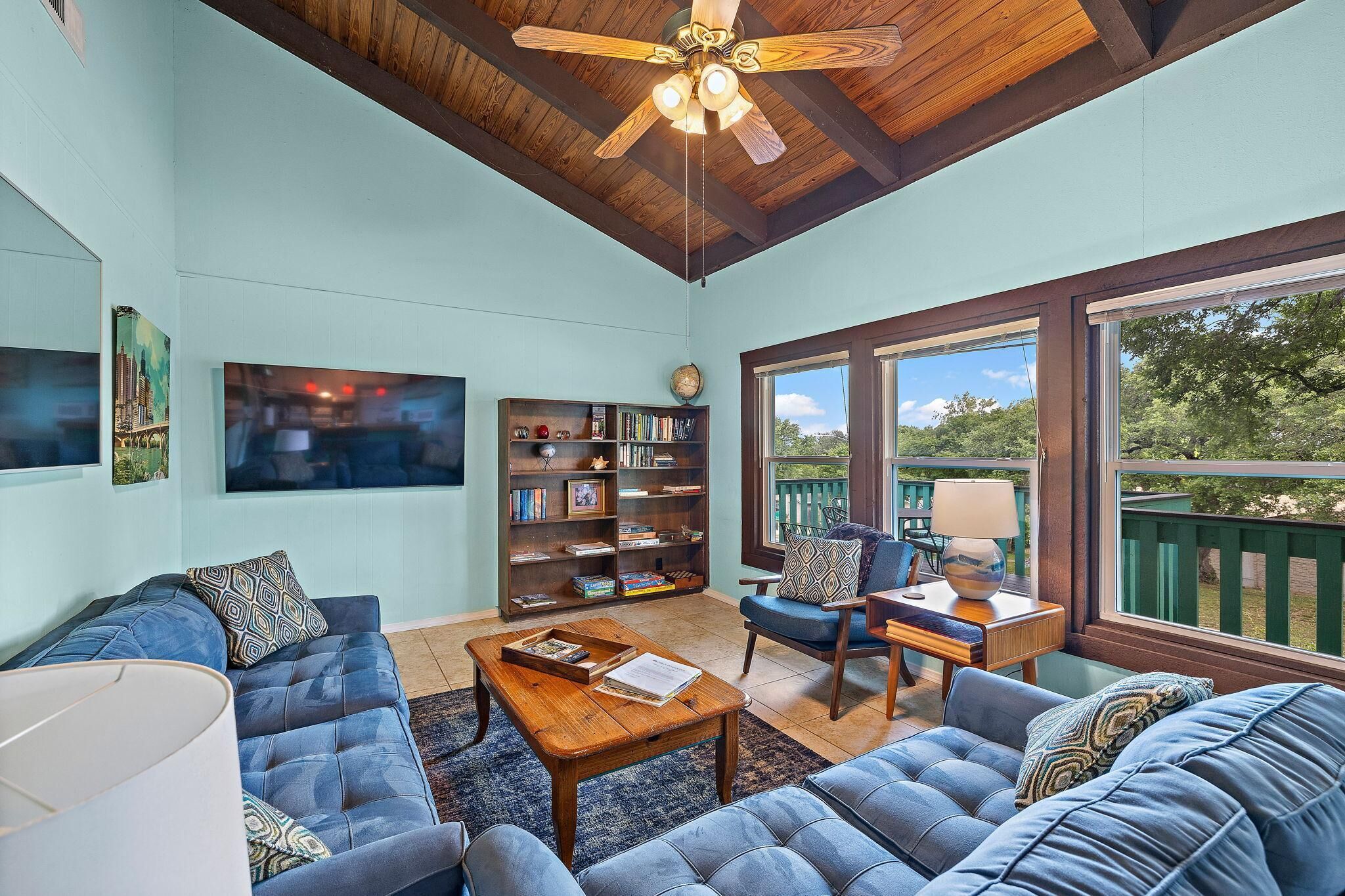 Smart TV, Netflix, books, streaming services