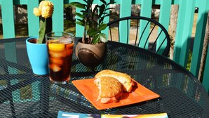 A table with a magazine, a glass of iced tea, a sandwich, and a potted plant.