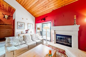 TV, fireplace, DVD player, books