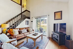 电视、壁炉、DVD 播放器