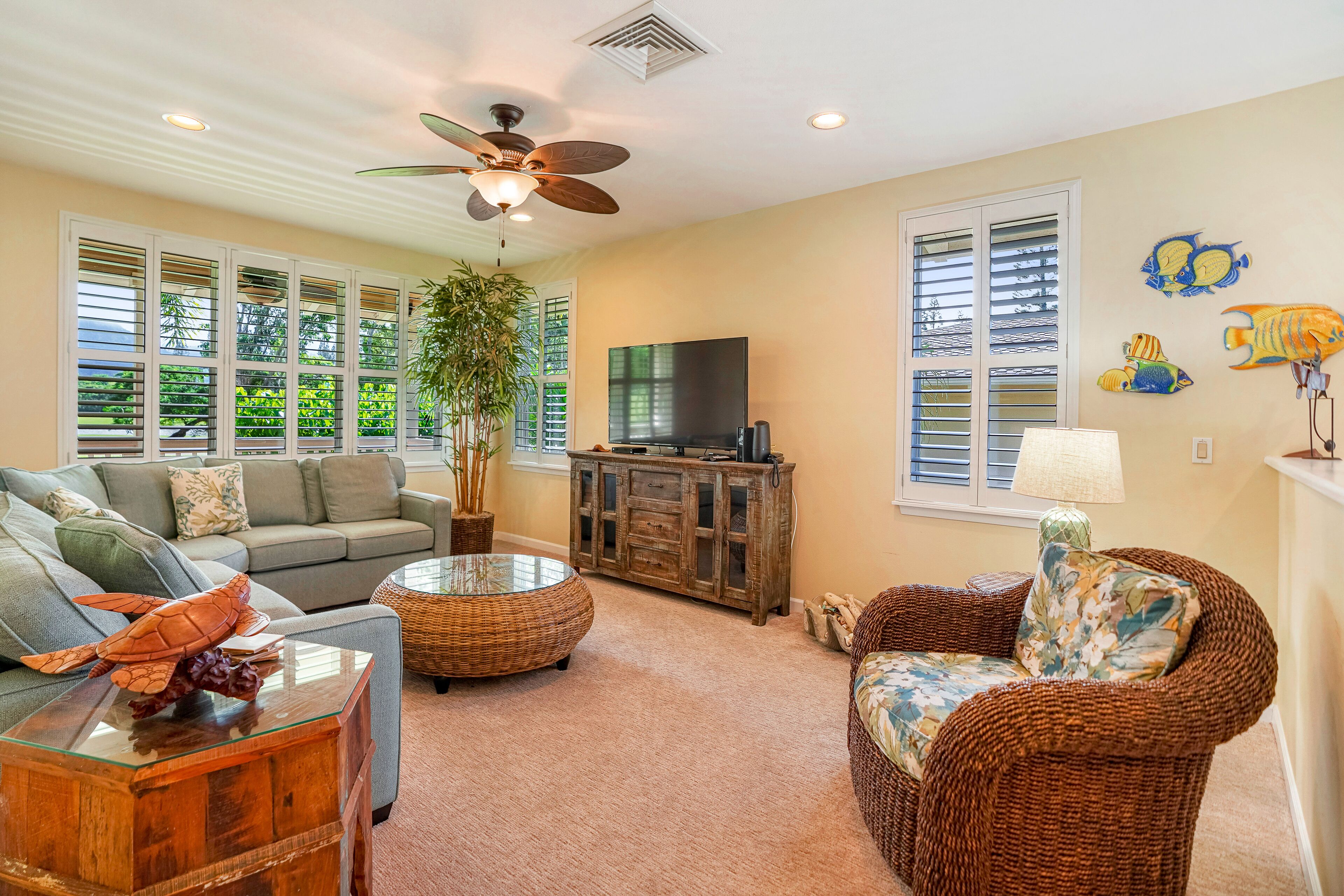 TV, DVD player, books