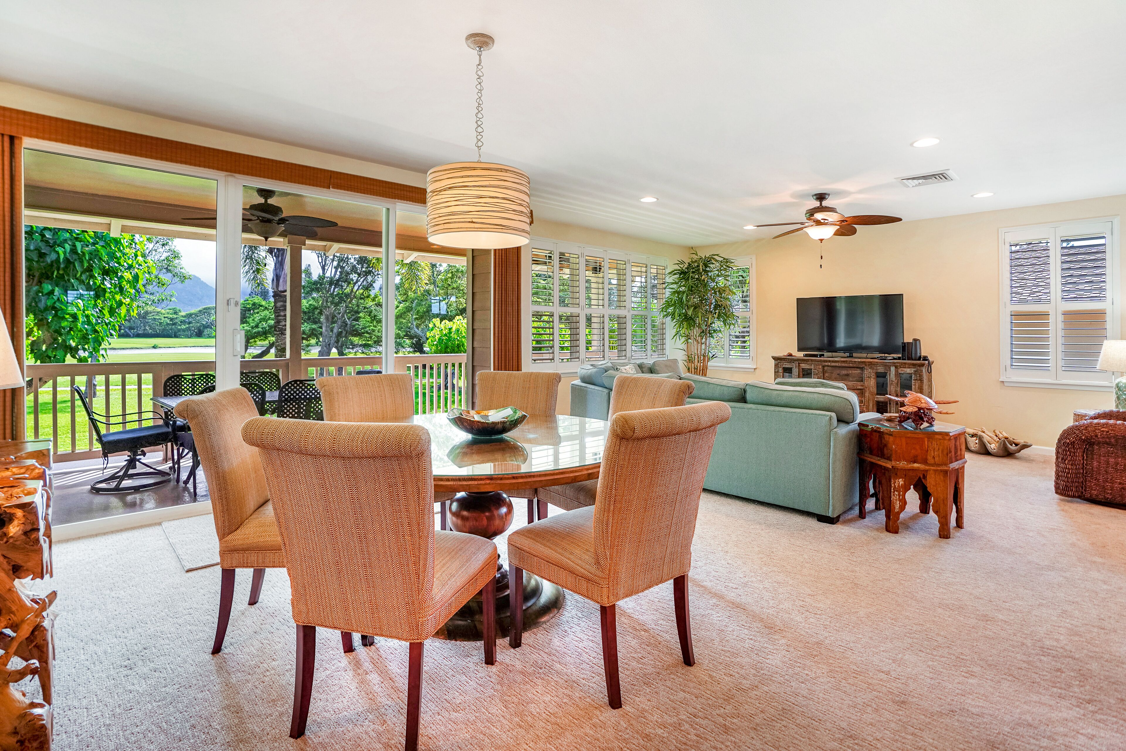 TV, DVD player, books