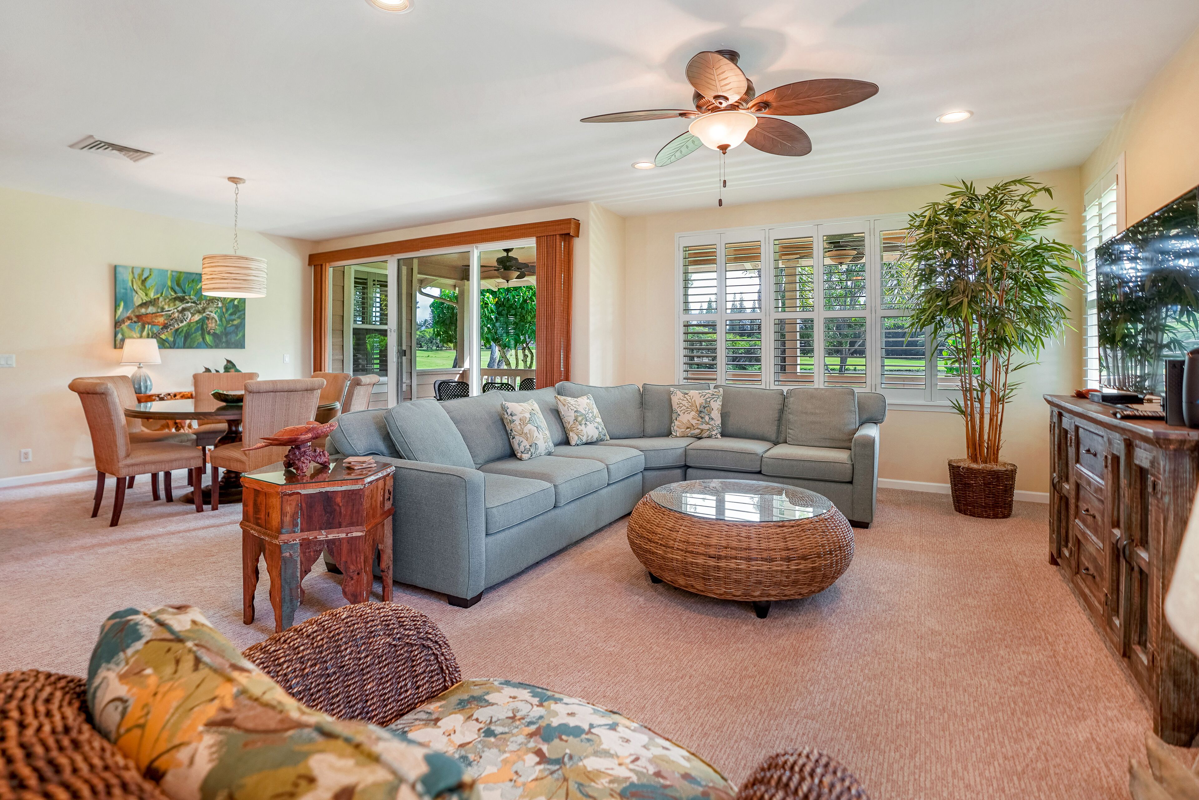 Televisión, reproductor de DVD y libros 