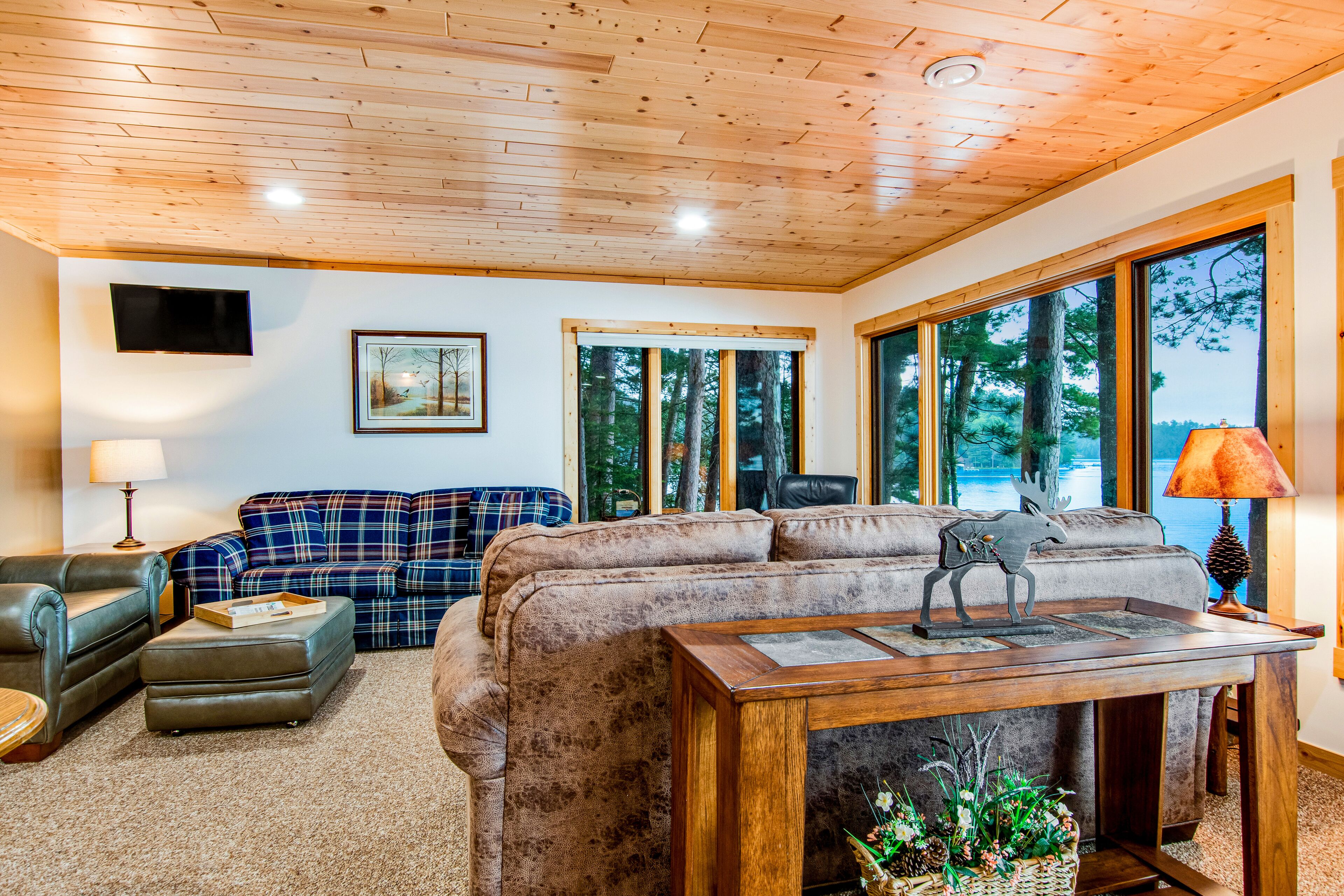 Televisión y reproductor de DVD 