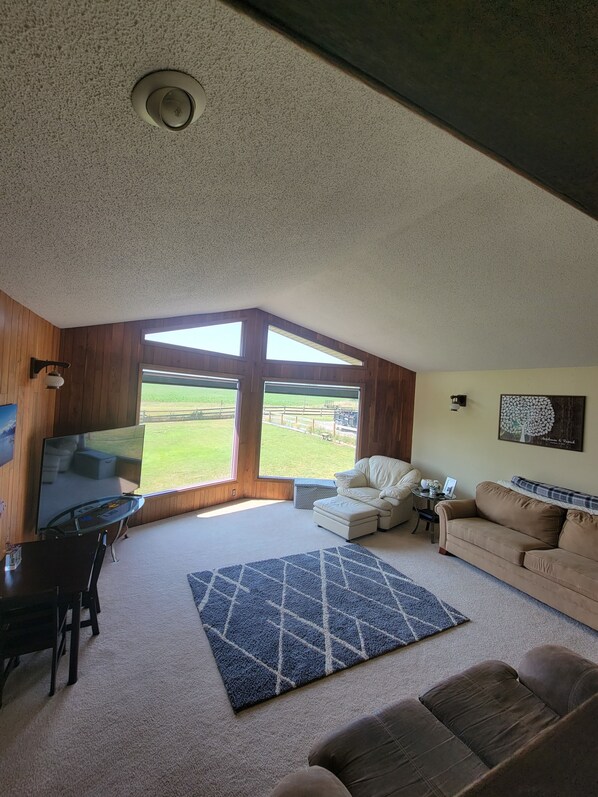 TV, fireplace, ping pong