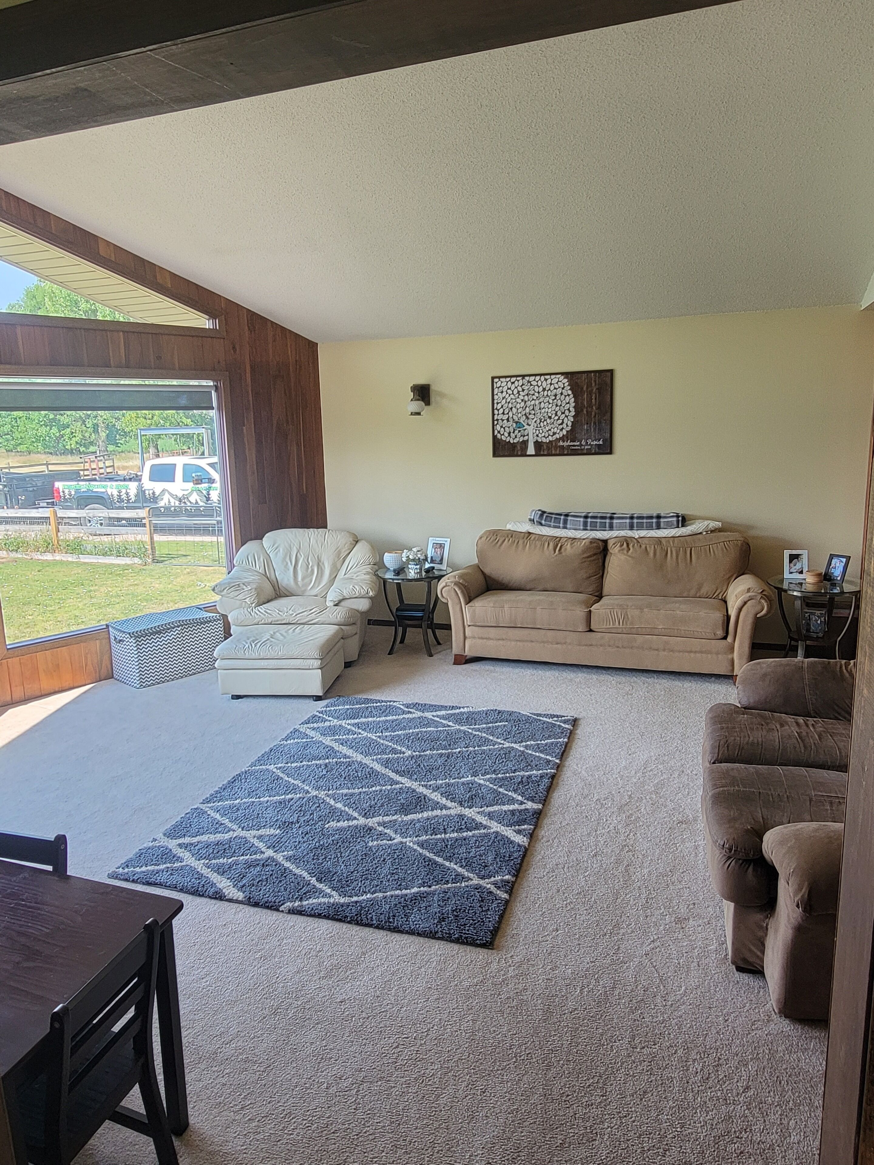 TV, fireplace, ping pong