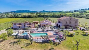 A villa with a swimming pool, outdoor seating, and a vineyard in the background. - Apartment Olea by Interhome (Guardistallo)