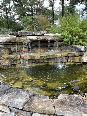 Une cascade naturelle en pierre qui se déverse dans un bassin entouré de rochers et de verdure.