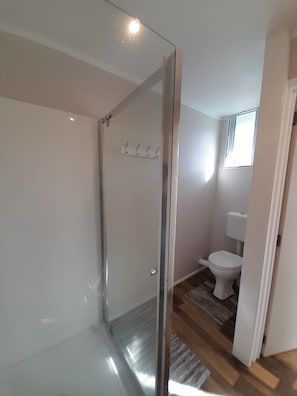 Shower, hair dryer, towels, shampoo