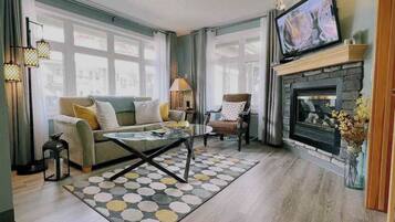 智能电视、壁炉、书