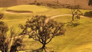 Campo de golfe com uma árvore em primeiro plano, uma ponte ao fundo e céu ao pôr do sol.
