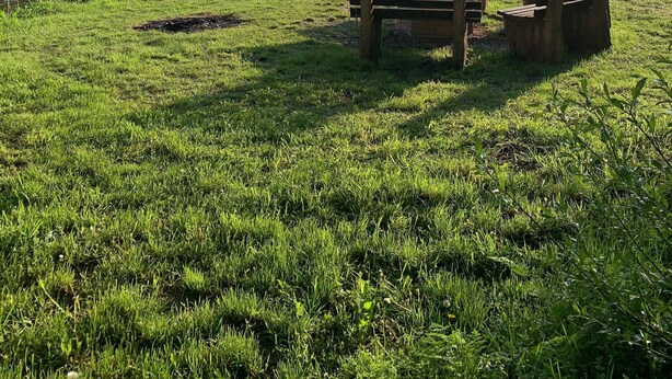 A grassy area with a river, benches, and a tree. - Ferienwohnung Pusteblume - 2 Schlafzimmer, Küche, Wohnzimmer, Bad, Balkon (Edertal)