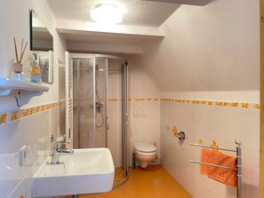 Shower, hair dryer, soap, toilet paper