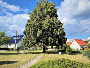 Uklassifisert bilde, 5 av 26, knapp