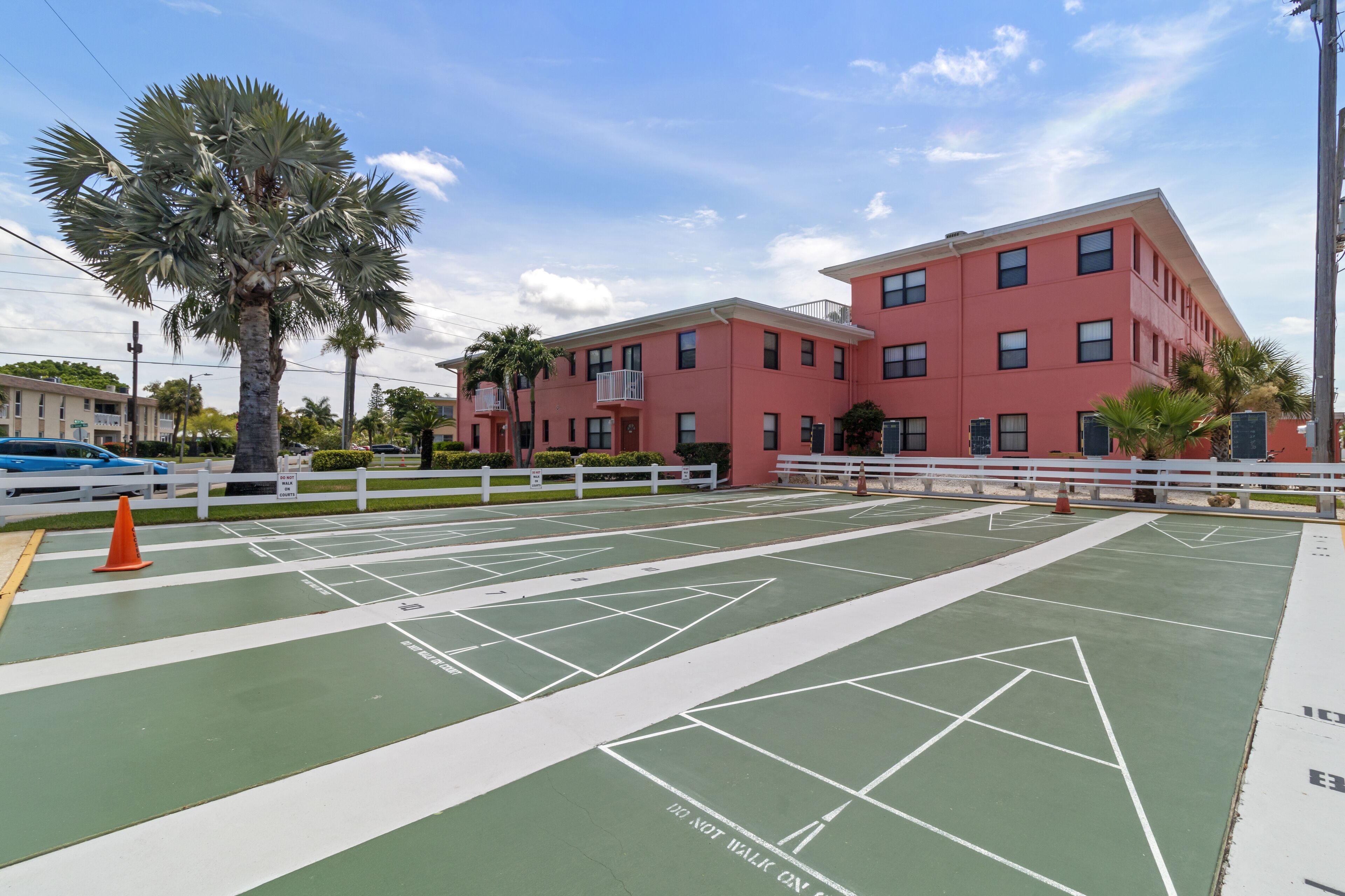 A tennis court with white boundary lines and a palm tree in the foreground.