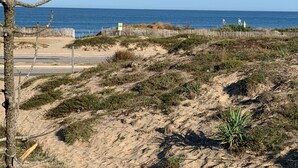 A sandy beach with sparse vegetation and a wooden fence in the background.
