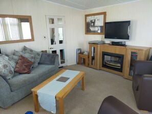 Smart TV, fireplace, video games, DVD player