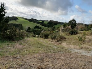 Property grounds - The cabins 2 with 50 acres of private bush (Te Arai)