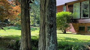 A house with a large tree in the foreground and a well-maintained lawn in the background. - Home in the woods - Big, Acreage, Nature Oasis, King Bed, Giant Windows (Monson)