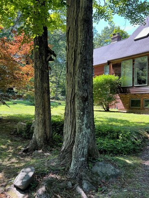 Property grounds - Home in the woods - Big, Acreage, Nature Oasis, King Bed, Giant Windows (Monson)