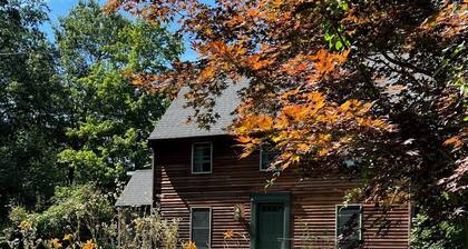 Home in the woods - Big, Acreage, Nature Oasis, King Bed, Giant Windows