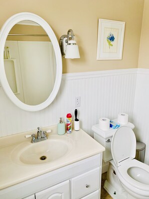 Combined shower/tub