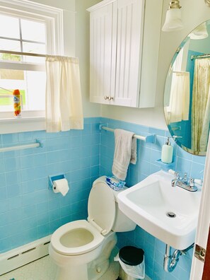 Combined shower/bathtub