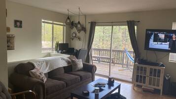 Smart TV, chimenea, reproductor de DVD, monitor de computadora