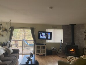 Smart TV, fireplace, DVD player, computer monitors