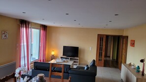 Televisie, een dvd-speler en boeken