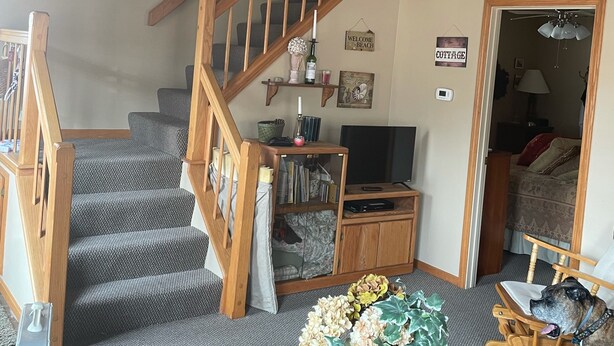 Un salon avec un escalier, un téléviseur, une table basse ornée d’un vase et un chien.