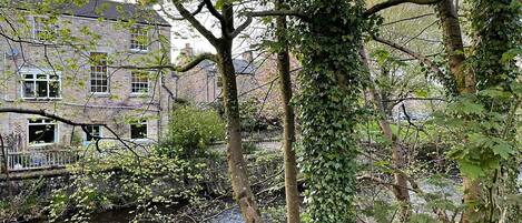 Overnatningsstedets område