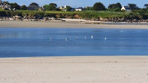 Ein Strand mit ruhiger See, sandigem Ufer und vereinzelten weißen Vögeln im Wasser.