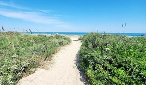A sandy path leading to a beach with dense vegetation on both sides. - WOW!!!!, ON BEACH, 7TH FL, AMAZING BAY and FIREWORKS VIEW! SPI License 20232542 (South Padre Island)